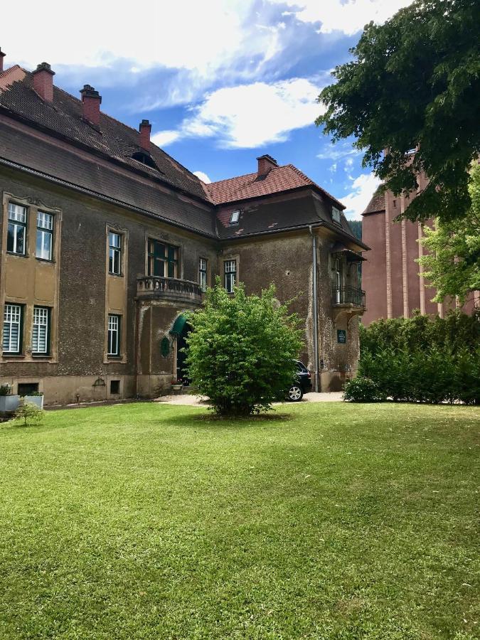 Apartment Im Gruenen Leoben  Esterno foto